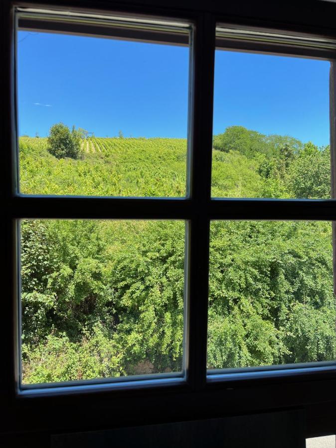 Domaine La Cour Des Nobles - Demeure, Maison Et Appartements Au Coeur De รีควีร์ ภายนอก รูปภาพ