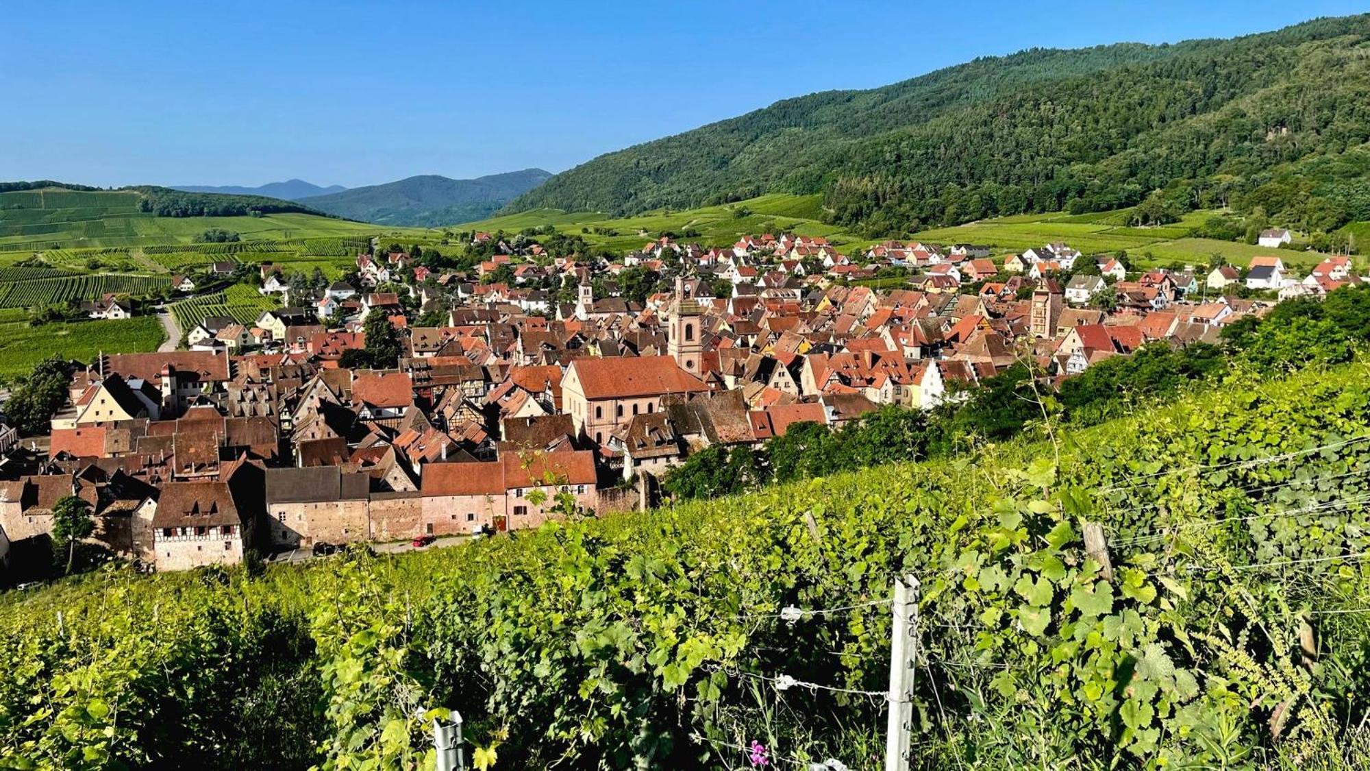 Domaine La Cour Des Nobles - Demeure, Maison Et Appartements Au Coeur De รีควีร์ ภายนอก รูปภาพ