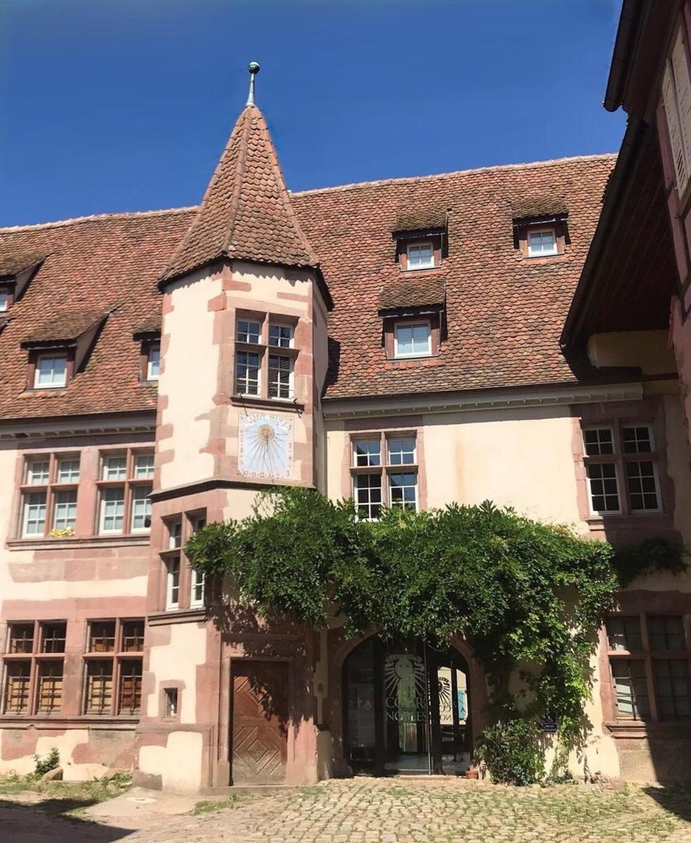 Domaine La Cour Des Nobles - Demeure, Maison Et Appartements Au Coeur De รีควีร์ ภายนอก รูปภาพ